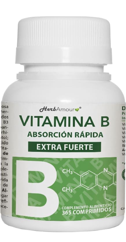 VITAMINA B EXTRA FUERTE | 365 Comprimidos (Suministro Por 12 Meses) | Complejo de Vitamina B con Vitamina B1, B2, B3, B5, B6, B12, con...