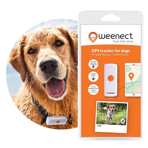 Weenect Dogs 2 - Rastreador GPS para Perros | Seguimiento GPS en Tiempo Real | Sin límite de Distancia | El Modelo más pequeño del...